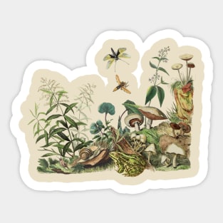 Goblincore Aesthetic Landscape with Frog and Mushrooms Sticker